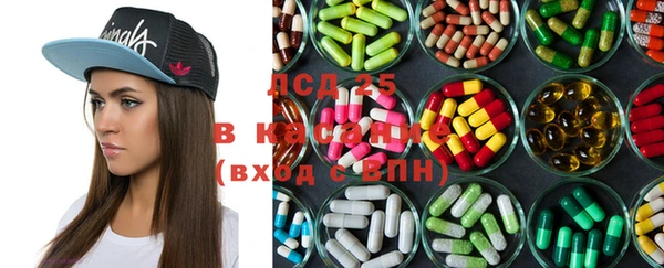шишки Медногорск