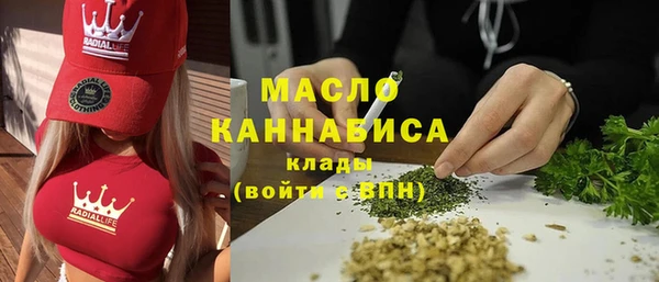 шишки Медногорск