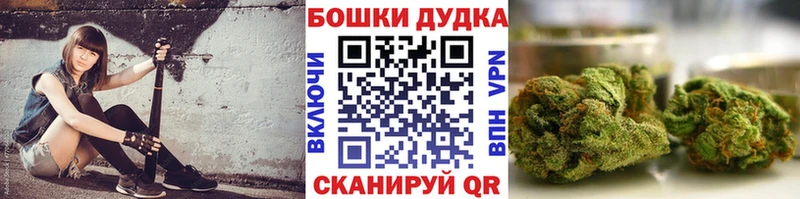 Бошки марихуана SATIVA & INDICA  Купить закладки  Салехард 